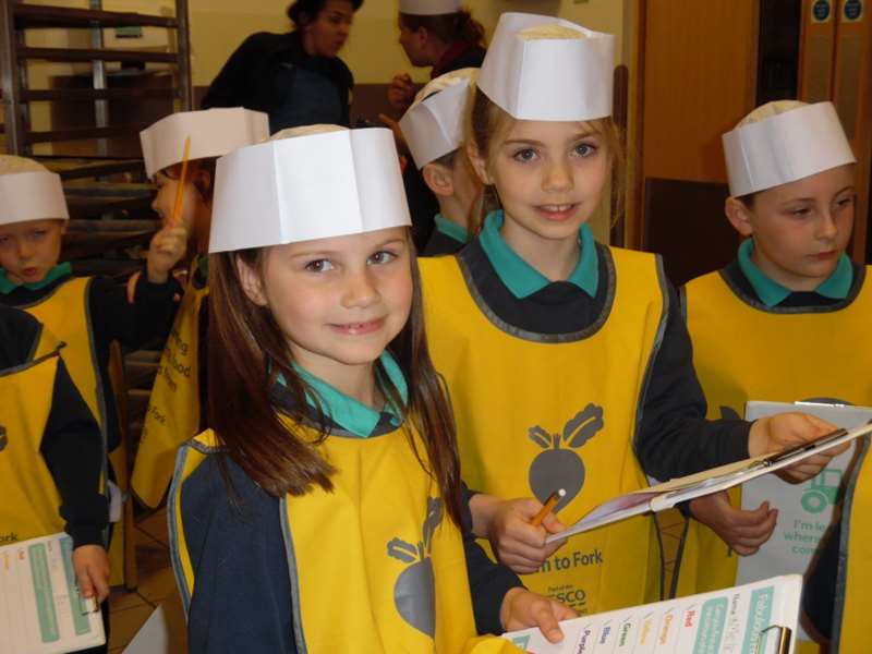 P2-3 Tesco Trip - Farm to Fork